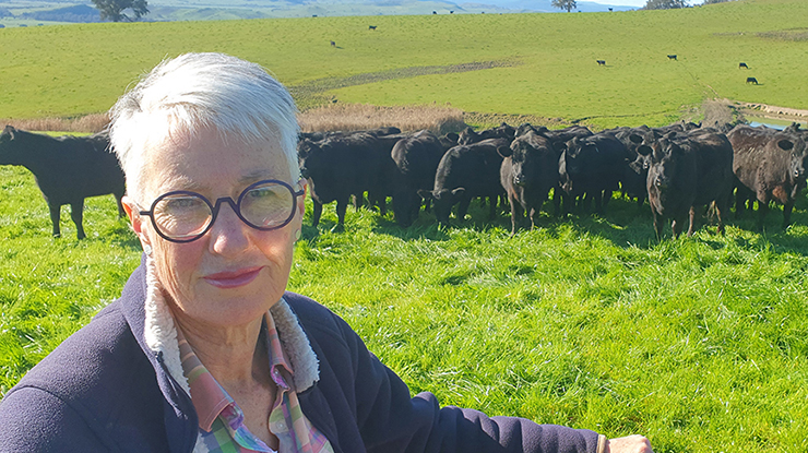 Linda Nankervis, with some of the family’s self-replacing Angus herd on their farm near Corryong.