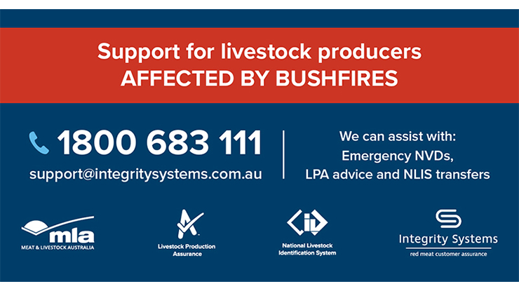 Affected by bushfire1.jpg